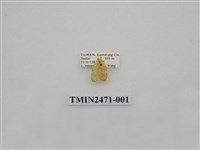 藏品(鉤弧紋豔苔蛾)的圖片